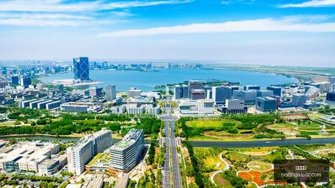 网易电竞新规，开云直播平台，助力，春季赛悬念升级